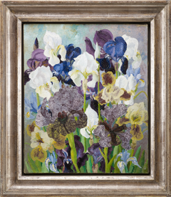 Cedric Morris May Flowering Irises No 2