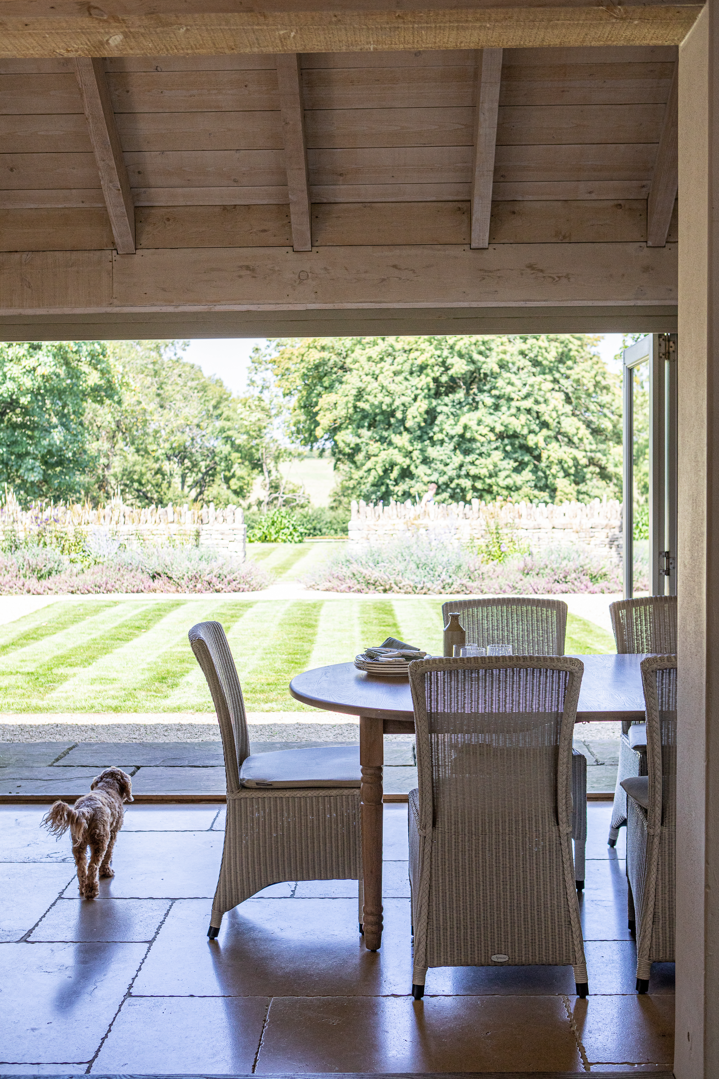 Designing A Pet Friendly Home (7) (1) (1)