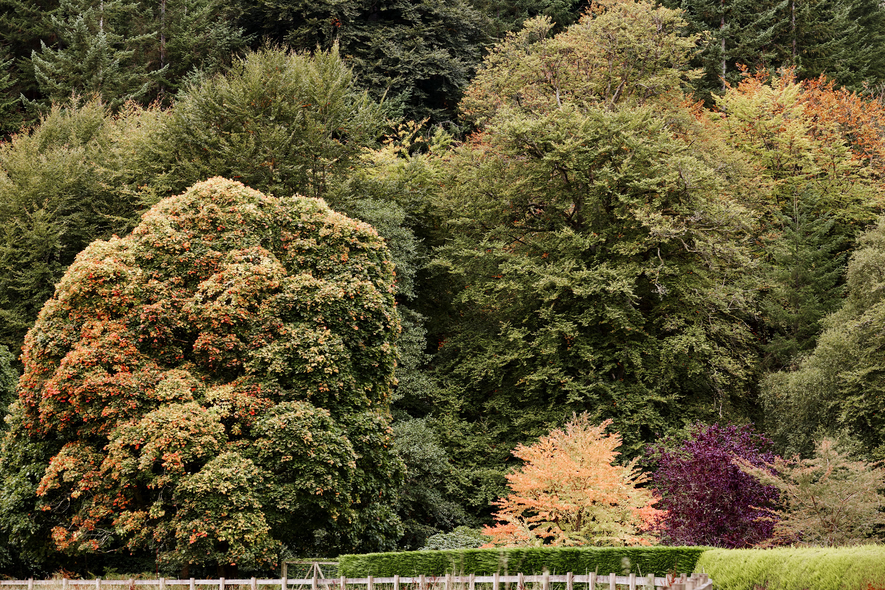 Sims Hilditch How To Create An Autumnal Interior (4)