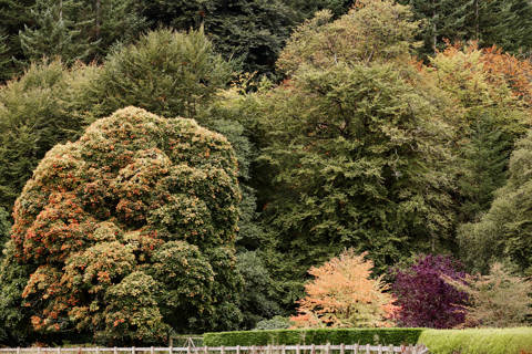 Sims Hilditch How To Create An Autumnal Interior (4)