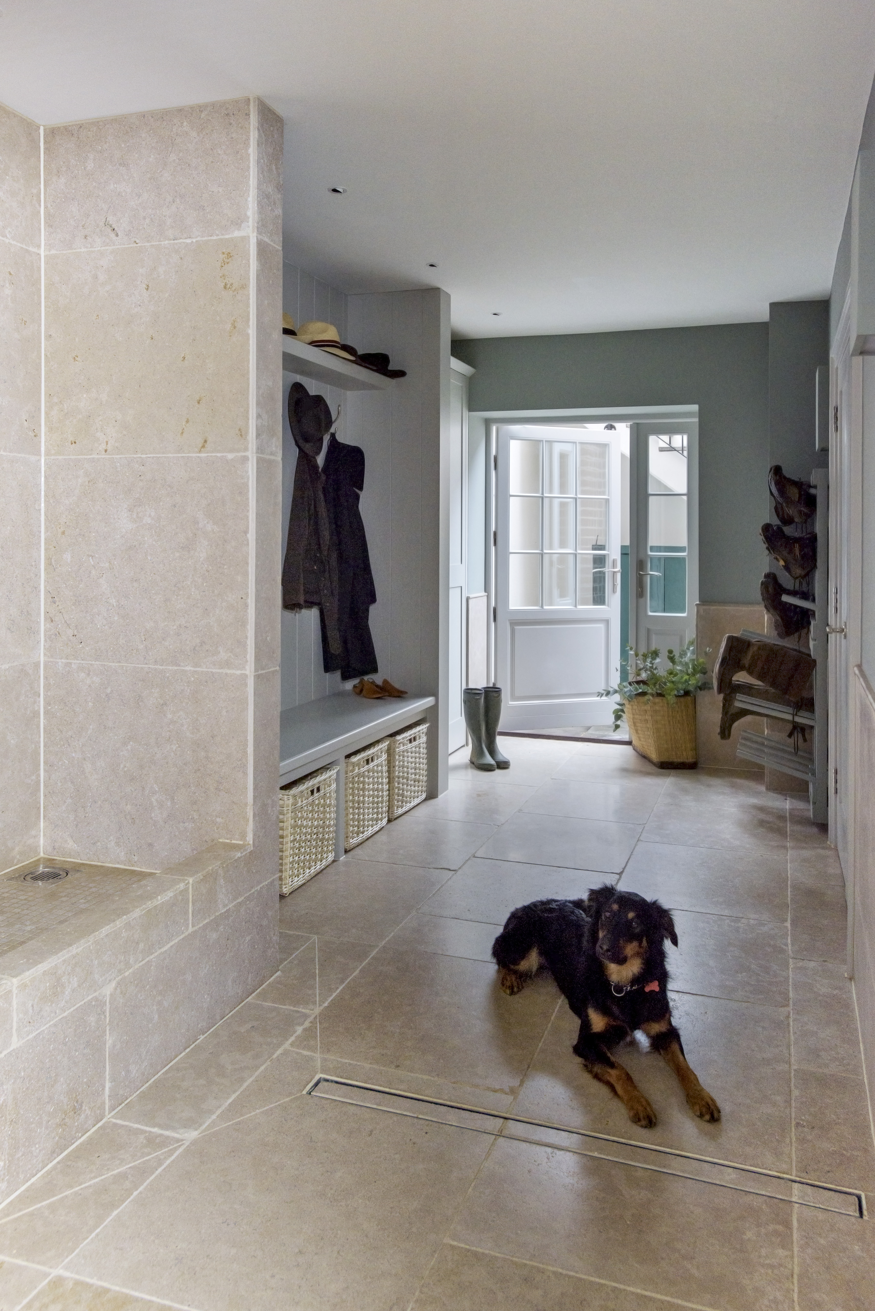 Designing A Pet Friendly Home (10) (1) (1) (1) (1) (1) (1)