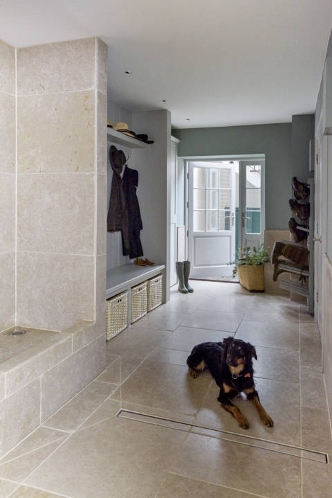 Designing A Pet Friendly Home (10) (1) (1) (1) (1) (1) (1)